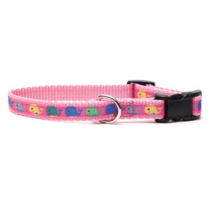 Pink Colorful Whales Dog Collar
