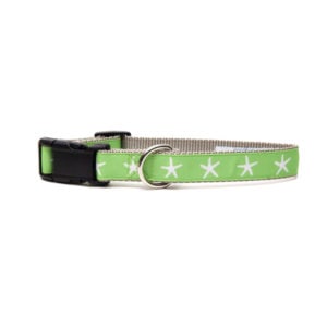 Green Starfish Dog Collar